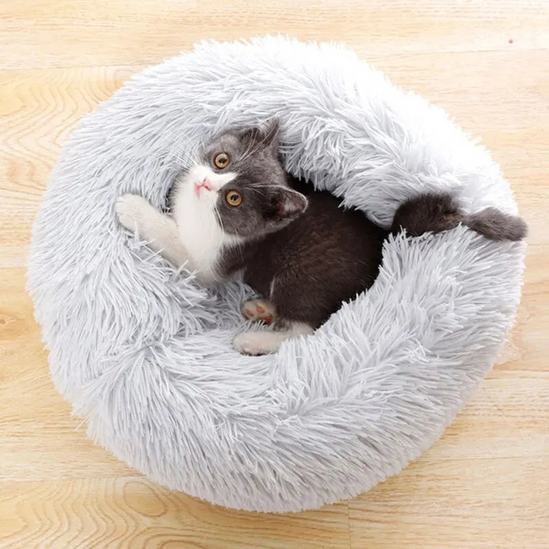 Cama PetLux: Conforto Aconchegante para Gatos